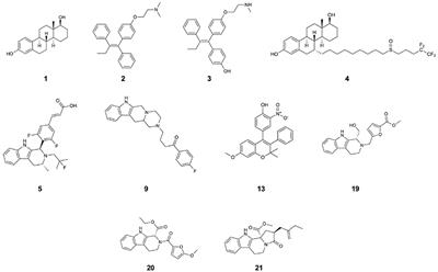 Structural, Thermodynamic, and Kinetic Traits of Antiestrogen-Compounds Selectively Targeting the Y537S Mutant Estrogen Receptor α Transcriptional Activity in Breast Cancer Cell Lines